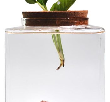small fish tank desktop