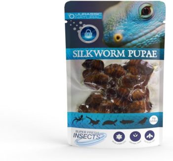 reptile food high protein
