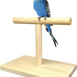bird perch stand