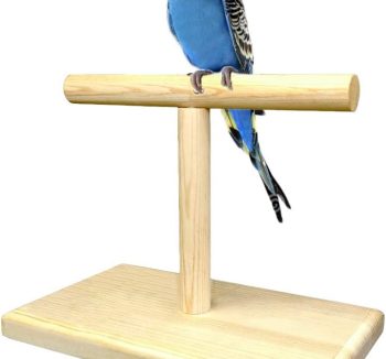 bird perch stand