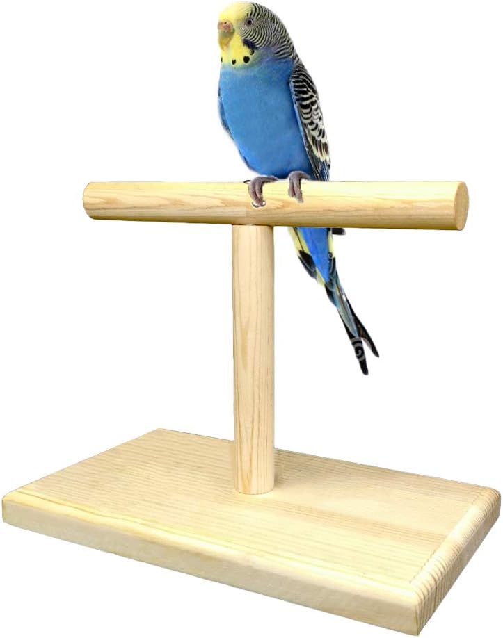 bird perch stand
