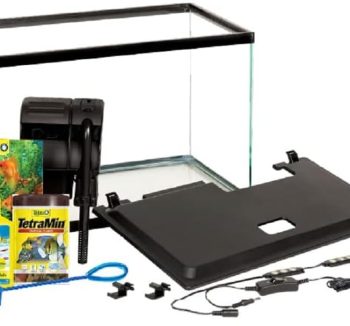 freshwater aquarium tank