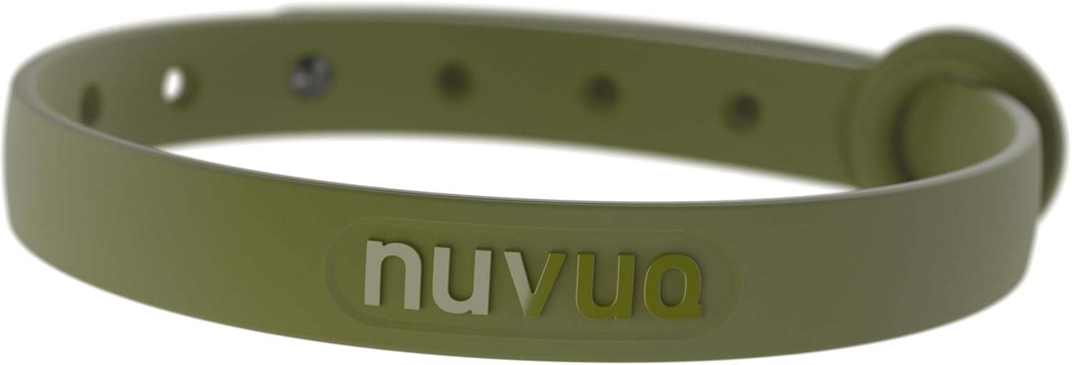 cat collar for kittens