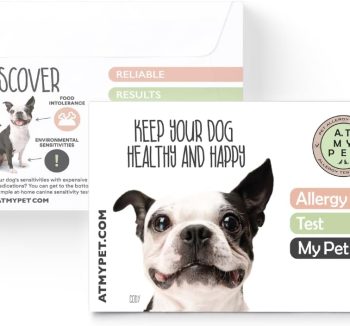 dog allergy supplement