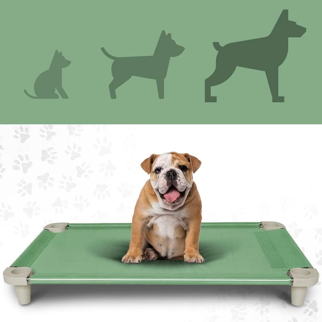 Acrimet Cooling Elevated Pet Dog Bed, Washable and Breathable Mesh Cot, Stainless Steel Frame, Indoor & Outdoor Use, fits Dogs up to 110 lbs (Size: 40” x 24”), Green, 1 Unit - Happypetzone.online - Image 2