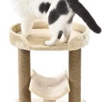 cheap cat tree amazon