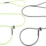 dog training leash