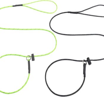 dog training leash