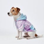 dog hoodie for dogs