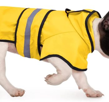 dog raincoat waterproof