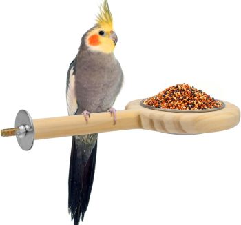 bird perch for small birds