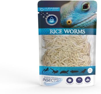 reptile food high protein