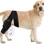 dog hip and joint care