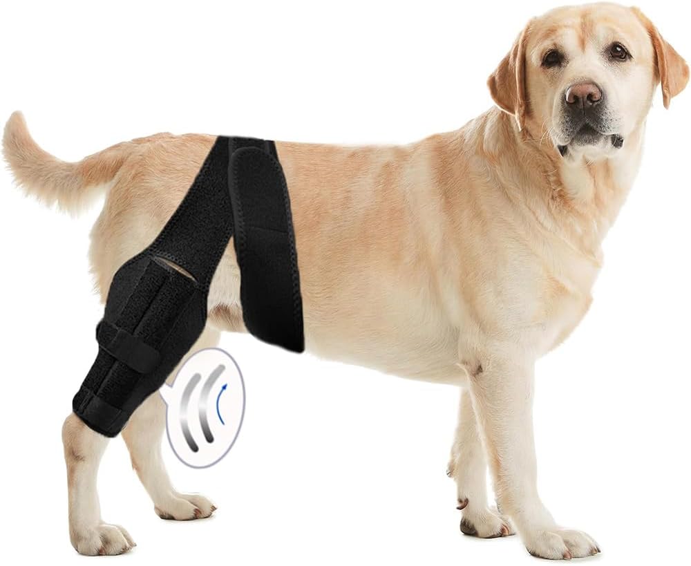 dog hip and joint care