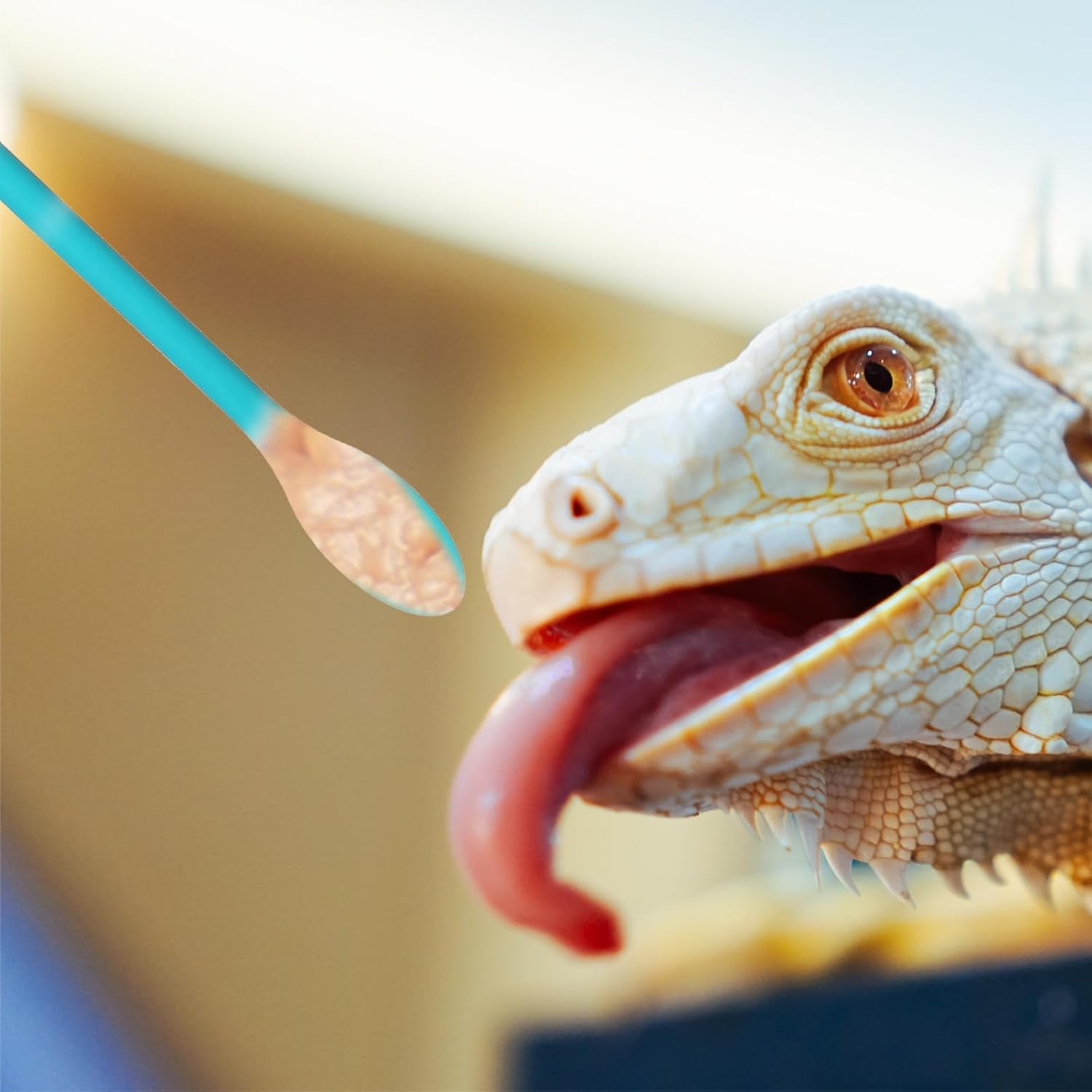 2Pcs Reptile Spoon, Crested Gecko Food Mixing Spoon Long Handle Feeding Tool Crested Gecko Accessories fit Lizard Gargoyle Bearded Dragon - Happypetzone.online - Image 5