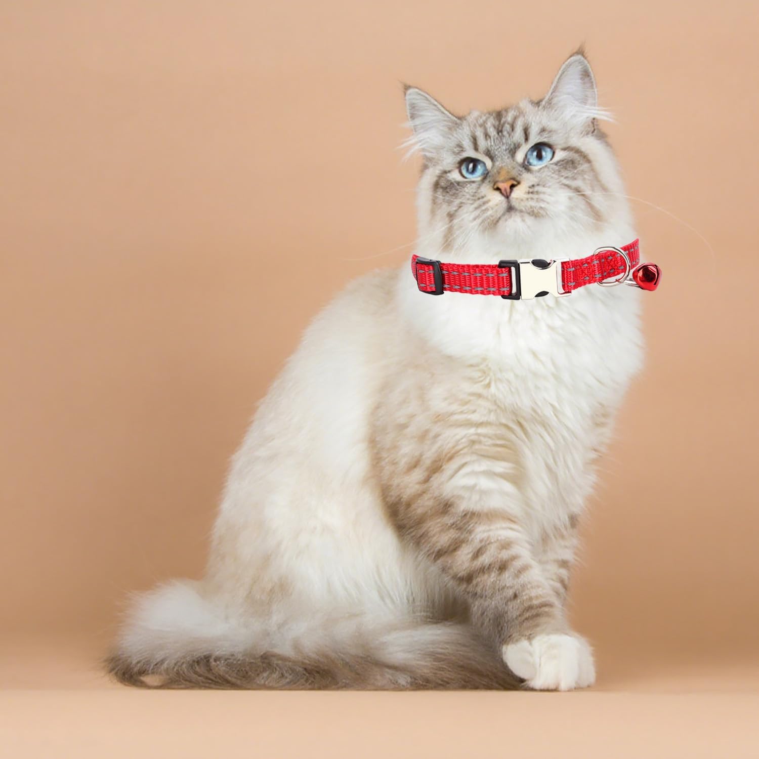 Custom Engraved Cat Reflective Collars with Name & Phone Number,Personalized Adjustable Buckle&Bell ID Tag Collar for Kittens&Cats - Happypetzone.online - Image 2
