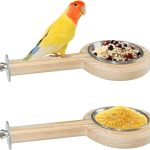 natural bird food