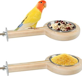 natural bird food