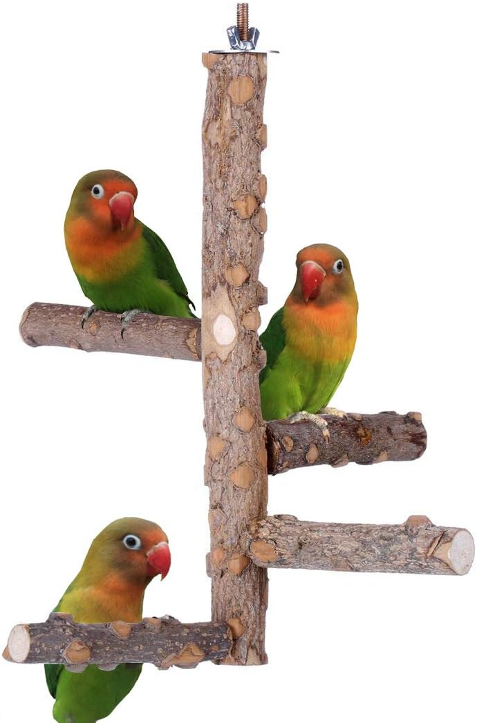 bird perch for small birds