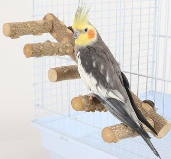 bird ladder perch