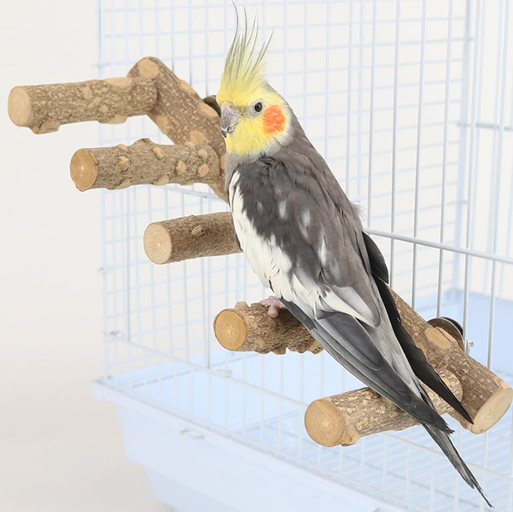 bird ladder perch
