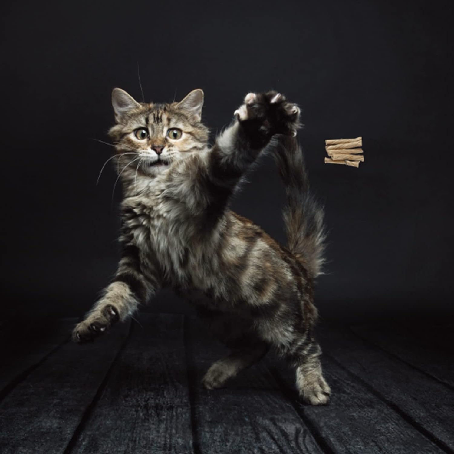 Cat Dancer Products 101 Interactive Cat Toy, Brown - Happypetzone.online - Image 2