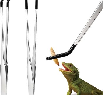 reptile feeding supplies