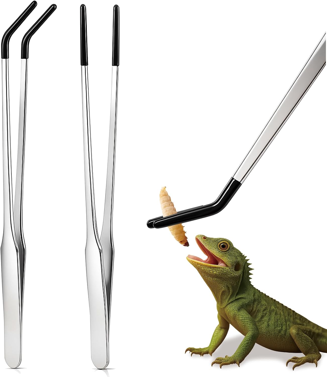reptile feeding supplies