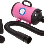 guinea pig grooming tools