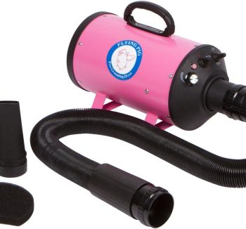 guinea pig grooming tools