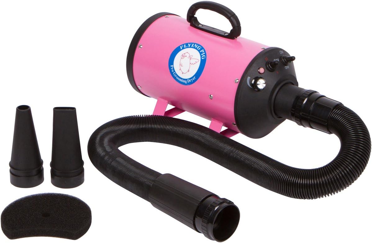 guinea pig grooming tools