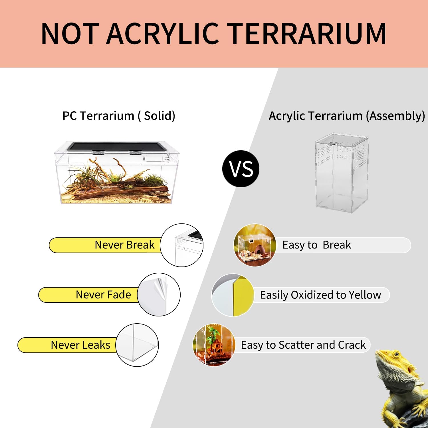 Reptile PC Terrarium Set, Reptile Tank 20" x 10"x 8",for Insect,Fish,Tarantula,Hermit Crab,Jumping Spider,Iguana,Tortoise,Leopard Gecko,Bearded Dragon - Happypetzone.online - Image 2