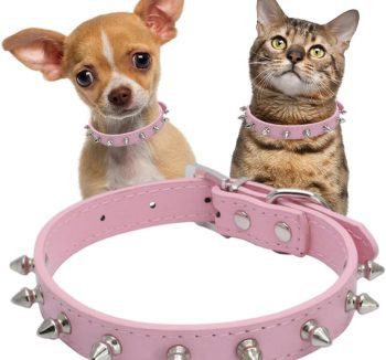 cat collar leather