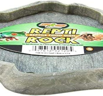 reptile food amazon best