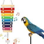 bird health amazon best