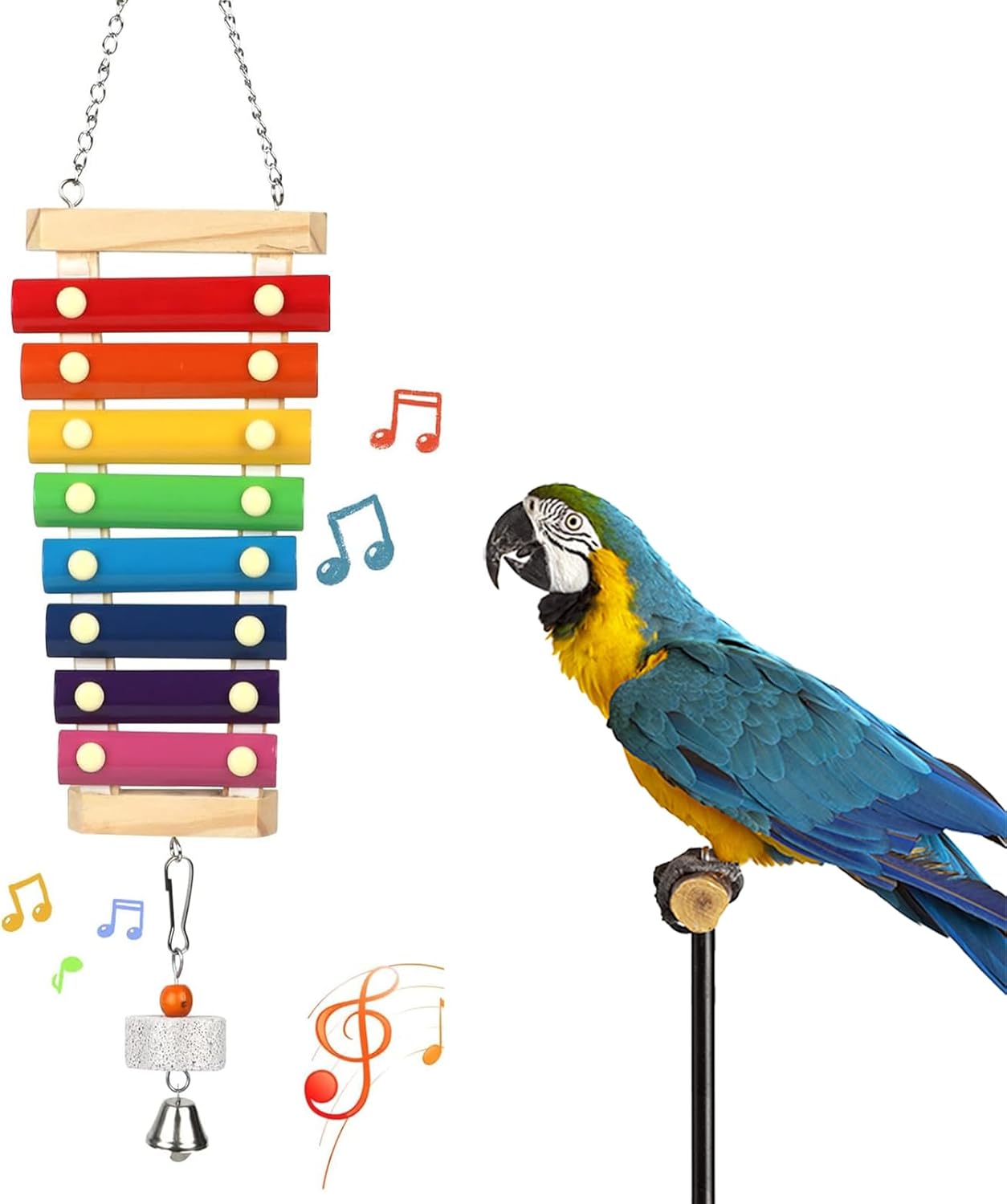 bird health amazon best
