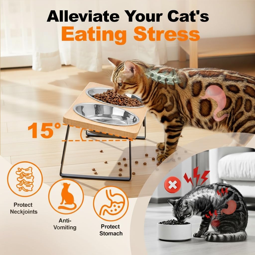 Cat Food Bowl for Indoor Cats - Elevated Stainless Steel Water Bowl, Tilted Raised Kitten Dish Set for Whisker Friendly and Anti Vomit, Feeding Station for Puppy and Pet - Happypetzone.online - Image 2