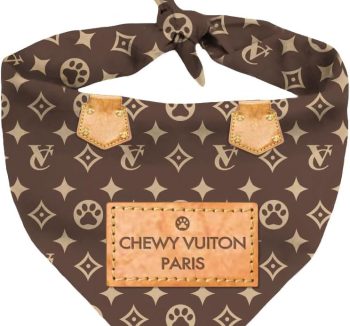 dog bandana stylish