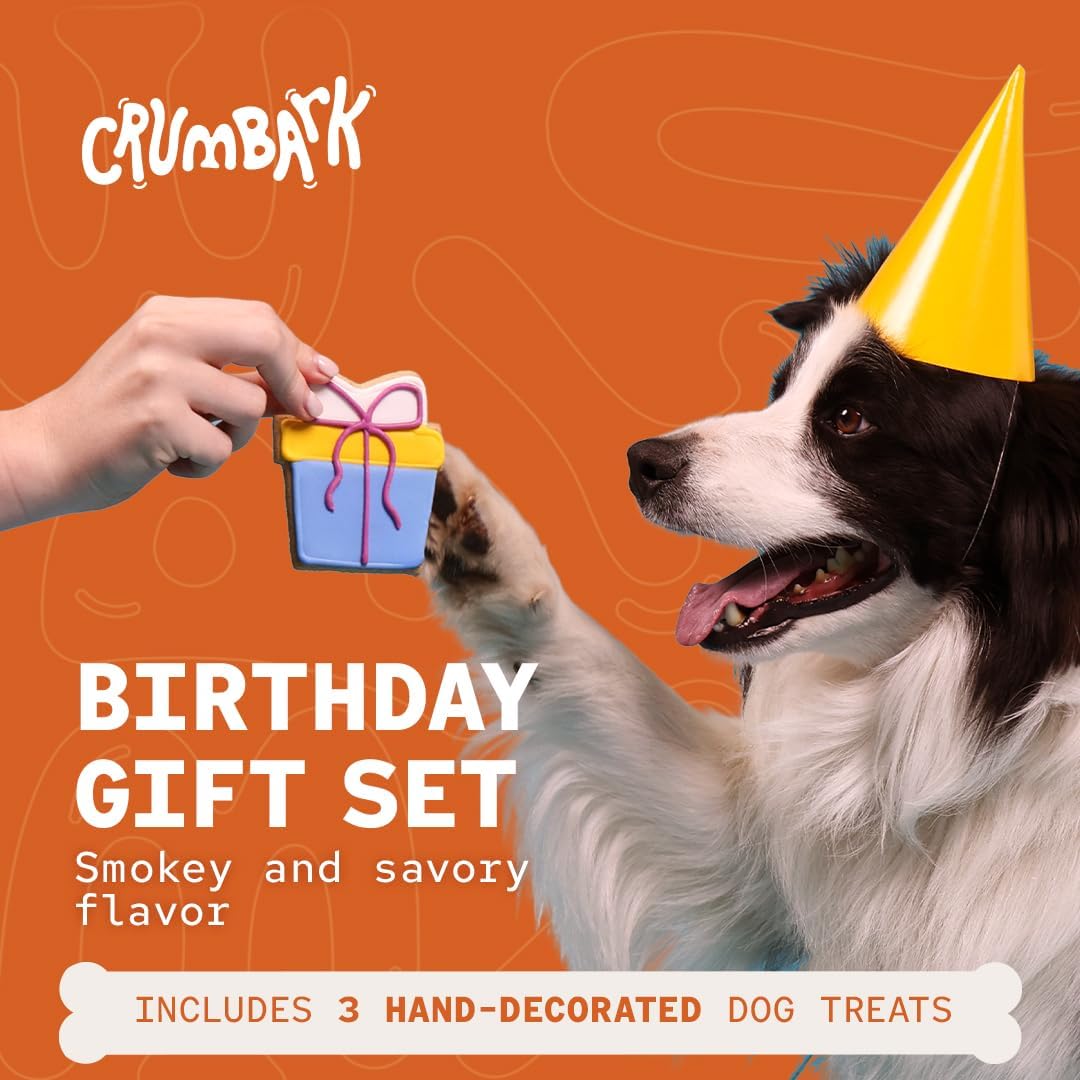 Dog Birthday Treats | Hand-Decorated Treats – 3 Pack in Gift Box | Extra Large Treat 62g Cookie, Vegan Dog Birthday Cake - Happypetzone.online - Image 2