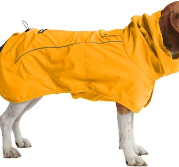 dog raincoat waterproof