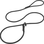 dog training leash