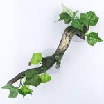 reptile climbing branch
