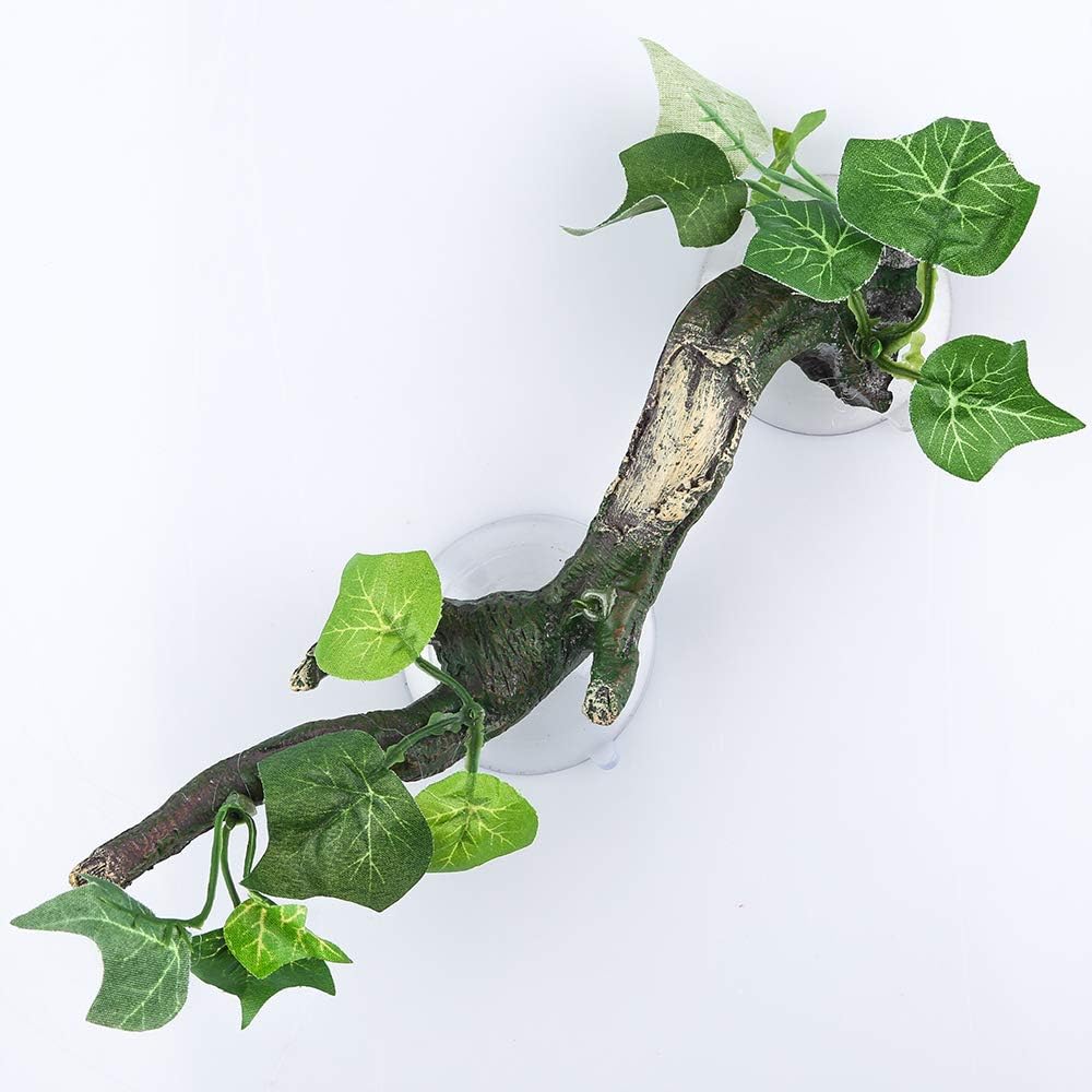 reptile climbing branch