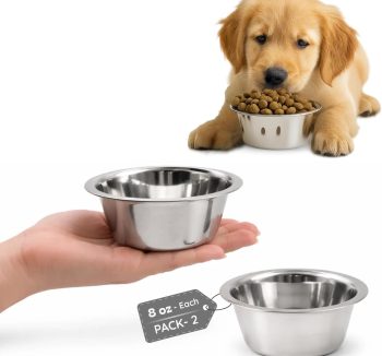 cat food for kittens