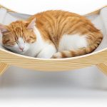 cat resting furniture
