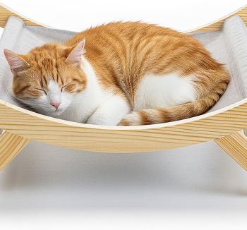 cat resting furniture