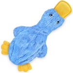best dog toys