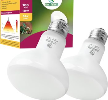 reptile heat lamp