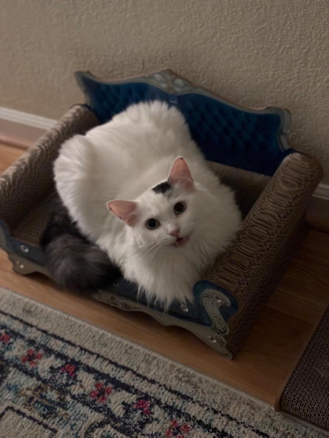 Luxury Cardboard Cat Scratcher Sofa Bed, Couch Shaped Cat Scratching Board, Scratch Lounge with Catnip, Scratcher for Indoor Cats Kittens Kitties - Happypetzone.online - Image 9