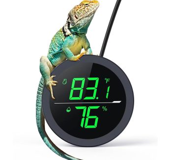 reptile thermometer digital